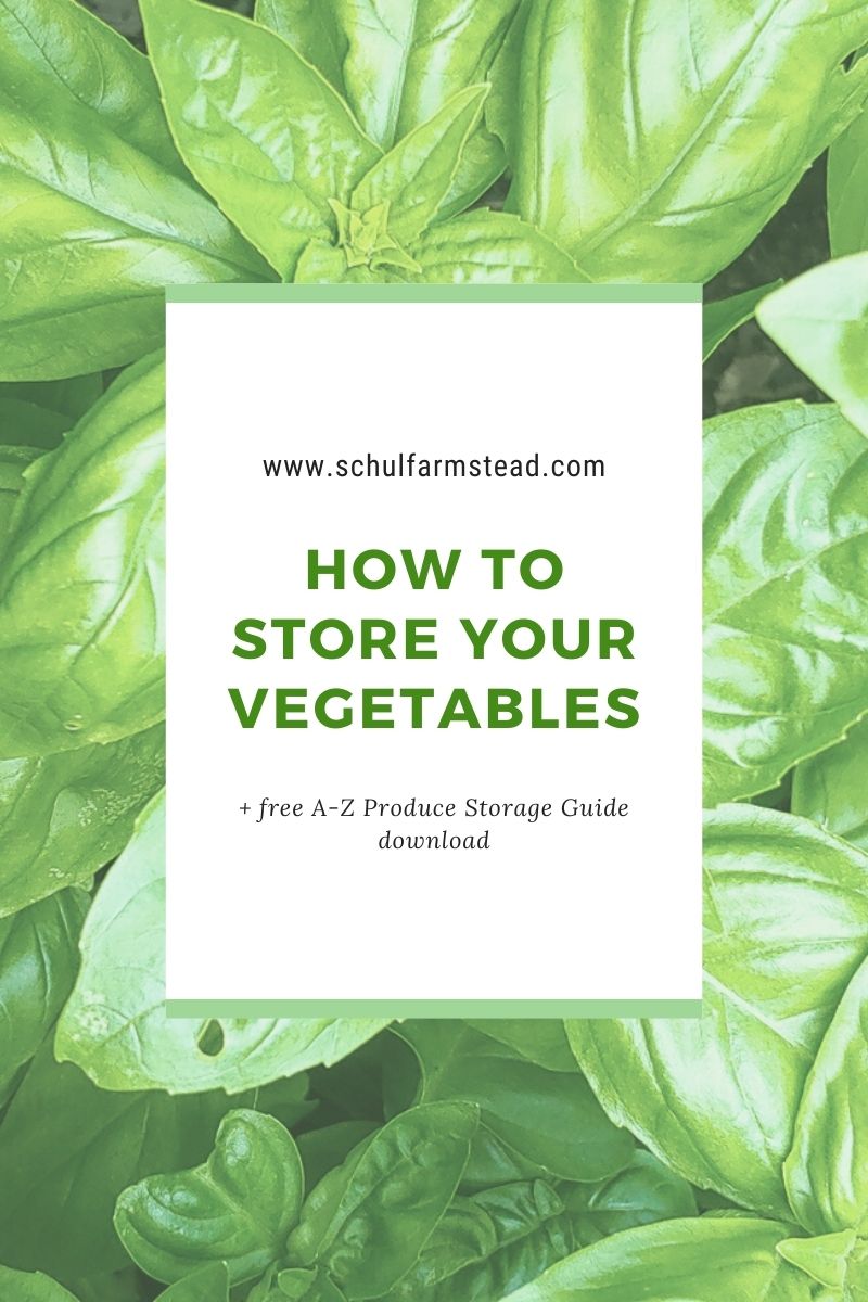 How to Store Your Vegetables